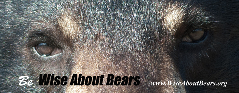 be-Wise-About-bears