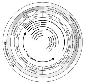 food cycle,mnr_e002709