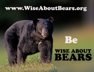 wiseaboutbears,text aug30,2012,300mm,D80_5899