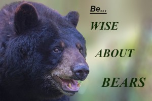 WiseAboutBear,text,Aug-29-2013,D80_7591